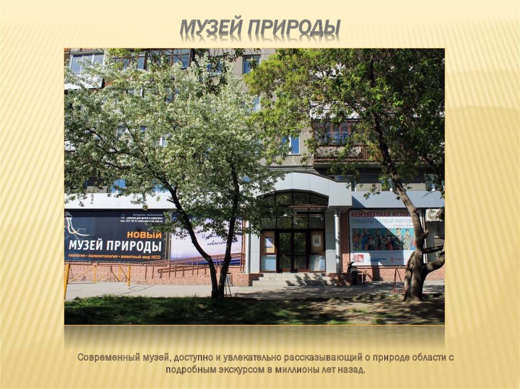 Музей природы