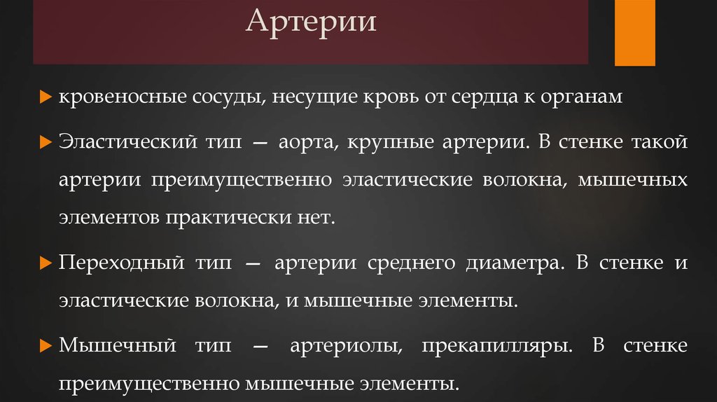 Артерии