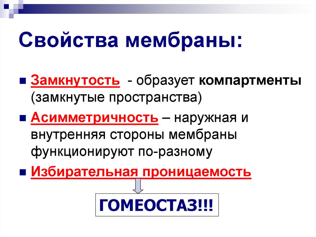 Характеристика мембраны. Свойства мембраны. Основное свойство мембраны. Основные свойства мембран. Жидкостность мембраны.