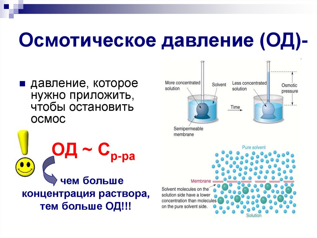 Осмотическое давление изотонического раствора. Осмотическое давление в клетке растений. Осмотическое давление в растительной клетке. Осмос осмотическое давление биология. Явление осмоса в природе.