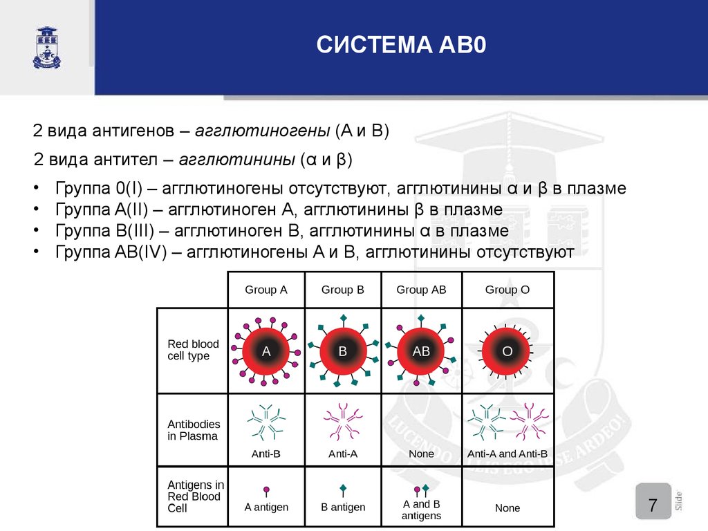 Определение антигенов системы резус. Система ab0 группы крови. Антигены ab0. Система крови ab0. Антигены системы ab0.