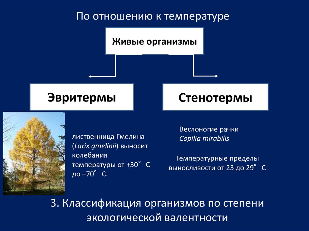 Экологическая классификация организмов презентация