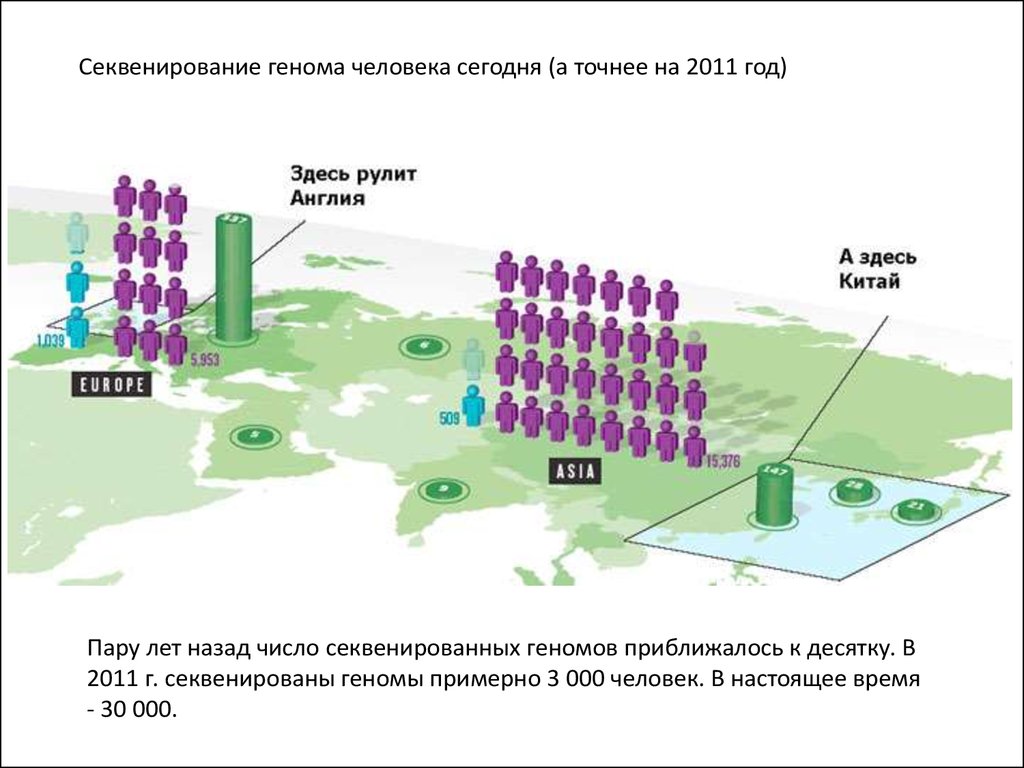 Секвенирование это. Секвестирование генома. Секвенирование Геномед. Секвенирование генома человека. Секвенирование генома человека биология.