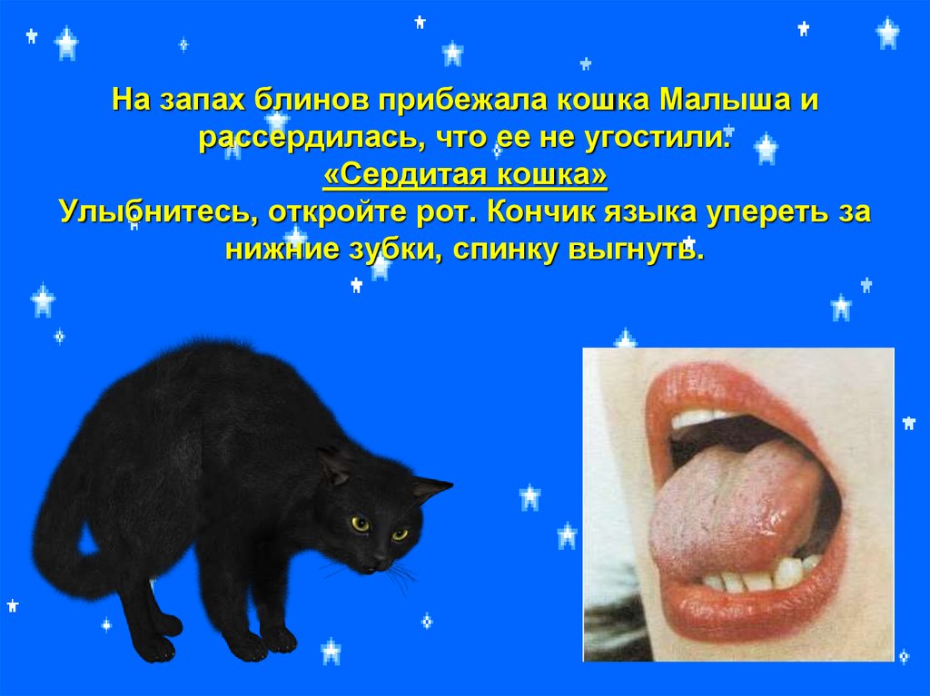 Как открыть рот кошке. Кошка открыла рот. Как может открыть рот кошка. Кошка с открытым ртом картинка для детей.