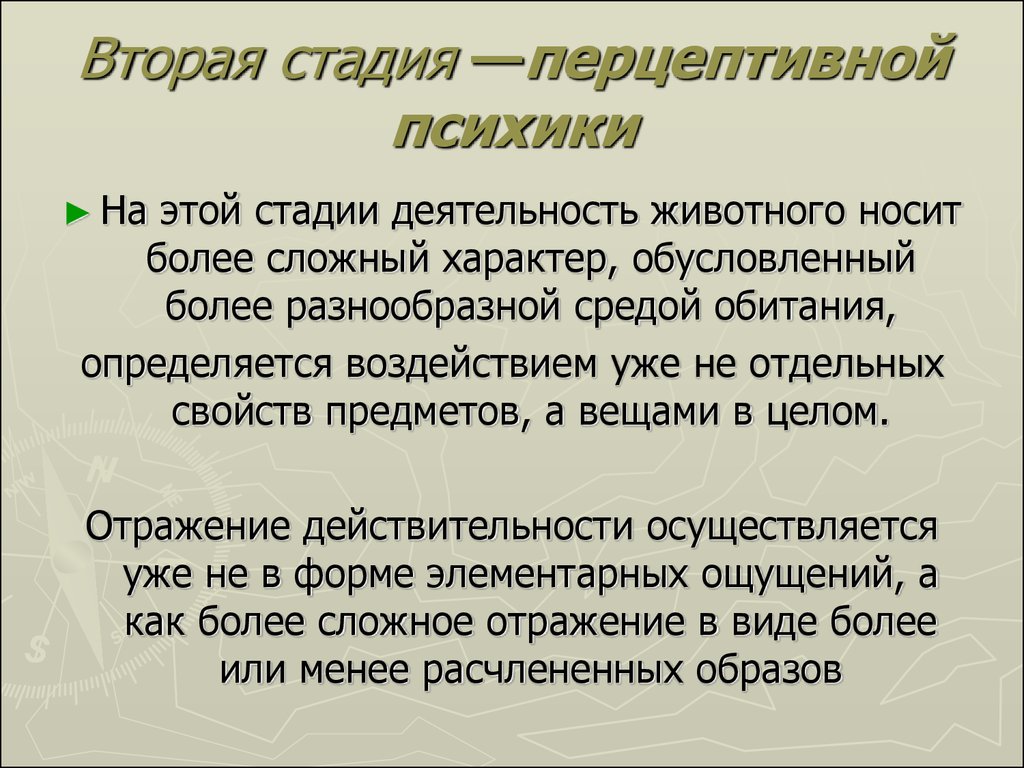 Стадии перцептивной психики. Перцептивная психика. Психика животных. Стадия перцептивной психики у животных. Где зародилась психология.