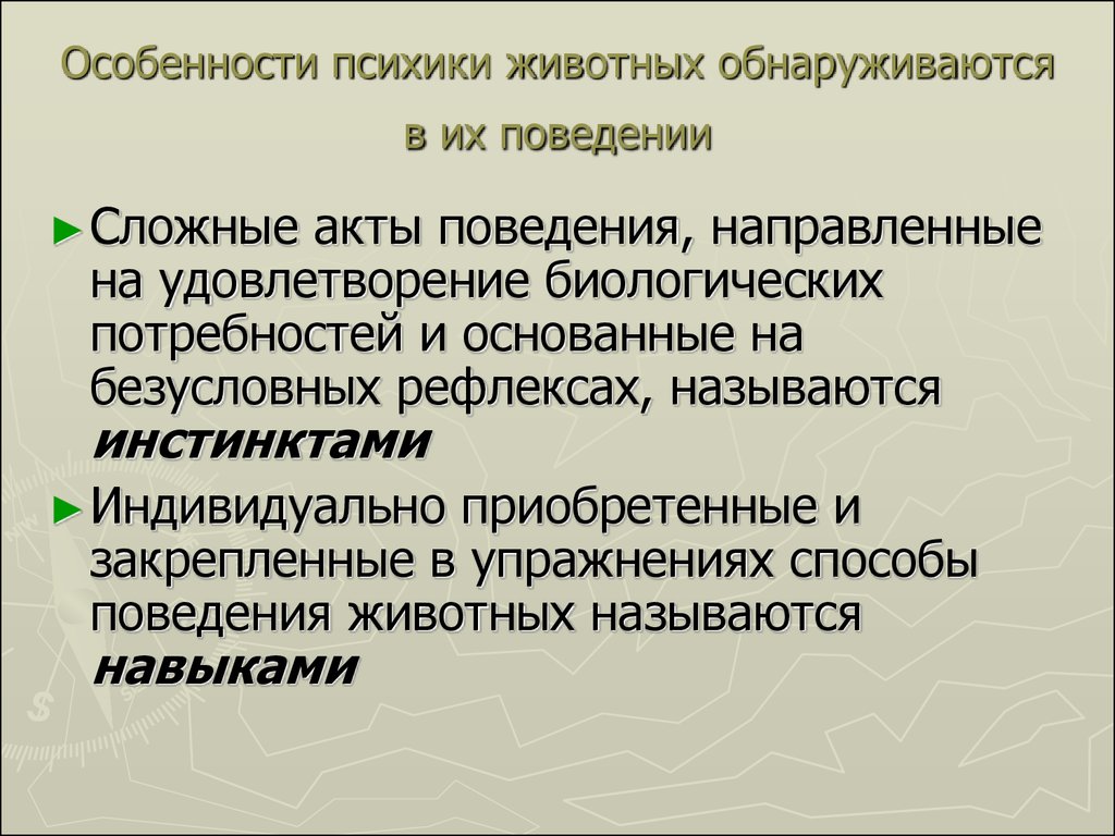 Психика животных