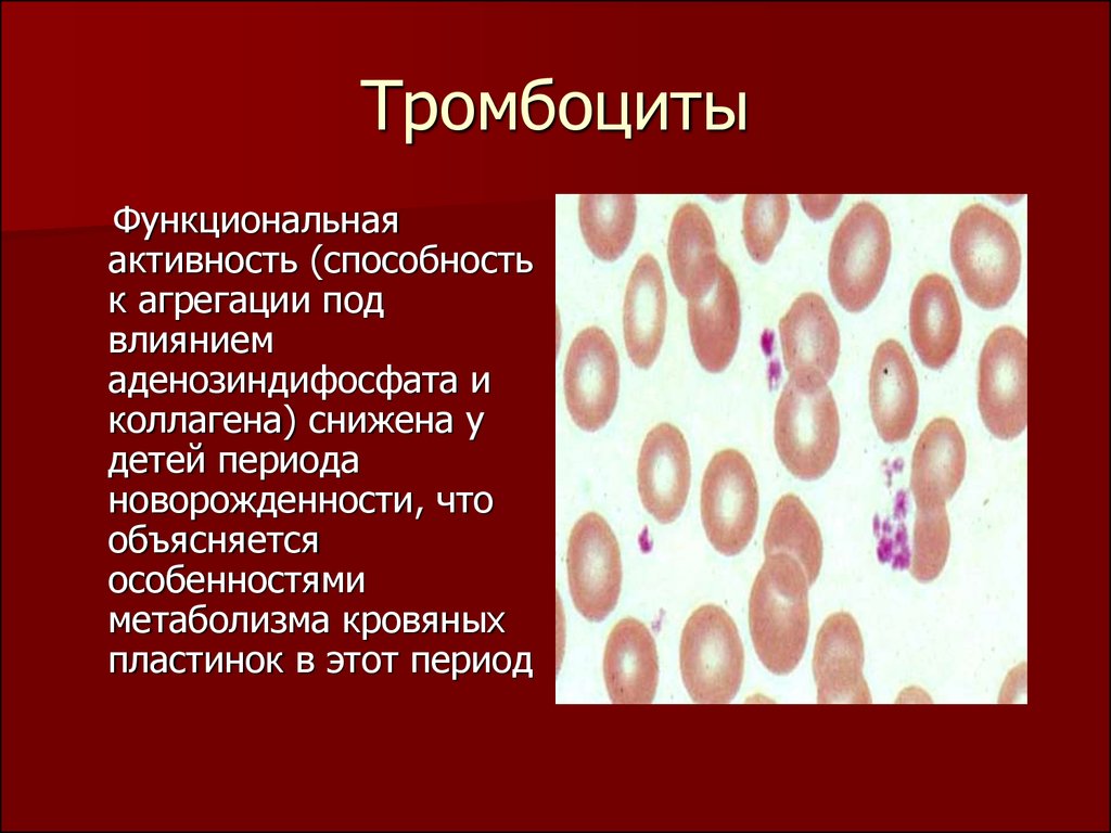 Заболевания органов кроветворения у детей презентация