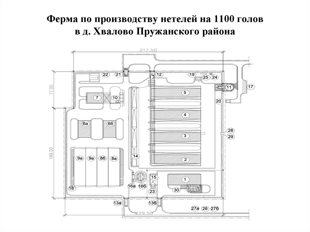 Схема водоснабжения животноводческой фермы