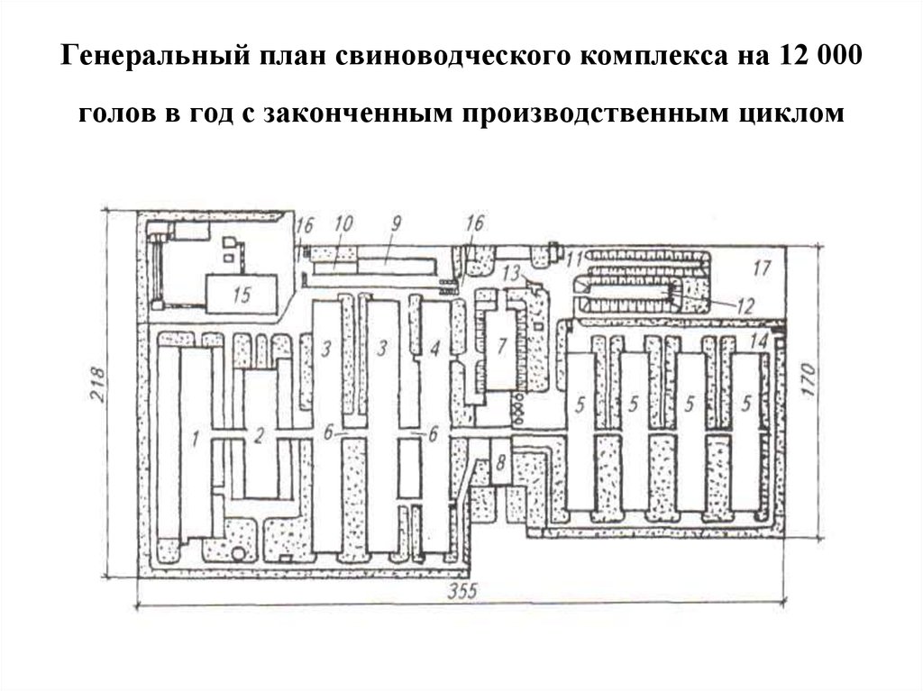 План схема животноводческой фермы