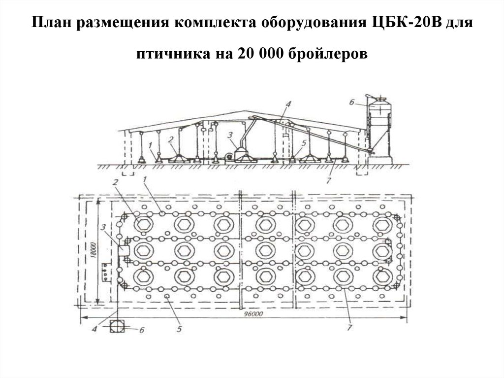 План размещения комплекта оборудования ЦБК-20В для птичника на 20 000 бройлеров
