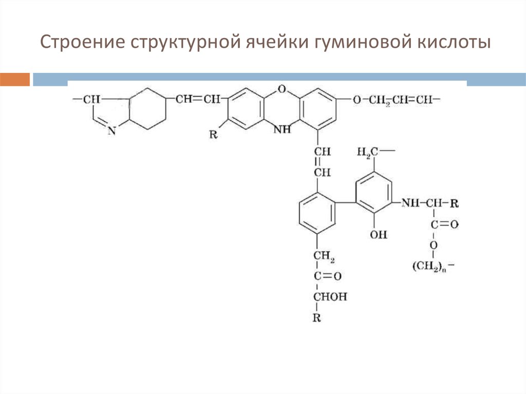 Структурное строение. Структура гуминовых кислот. Строение гуминовых кислот. Гуминовая кислота структурная формула. Гуминовые кислоты формула.