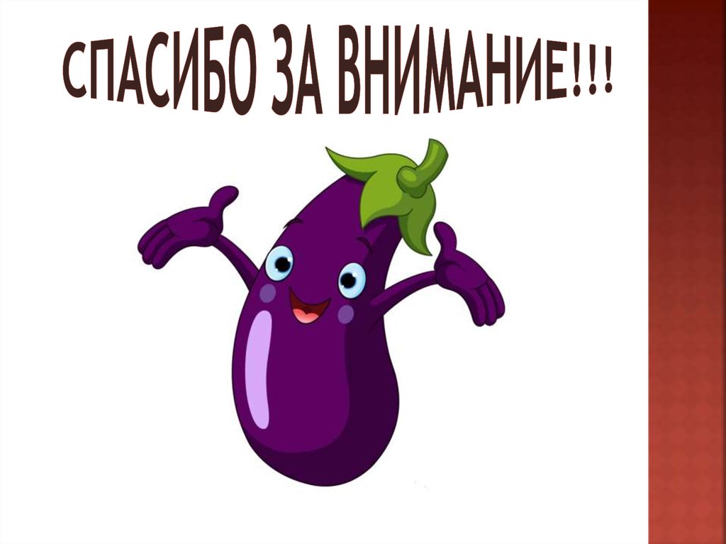 СПАСИБО ЗА ВНИМАНИЕ!!!