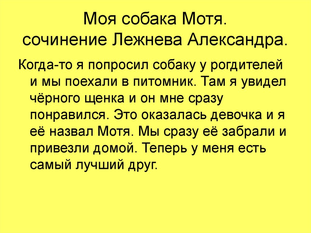 Сочинение на тему моя любимая собака