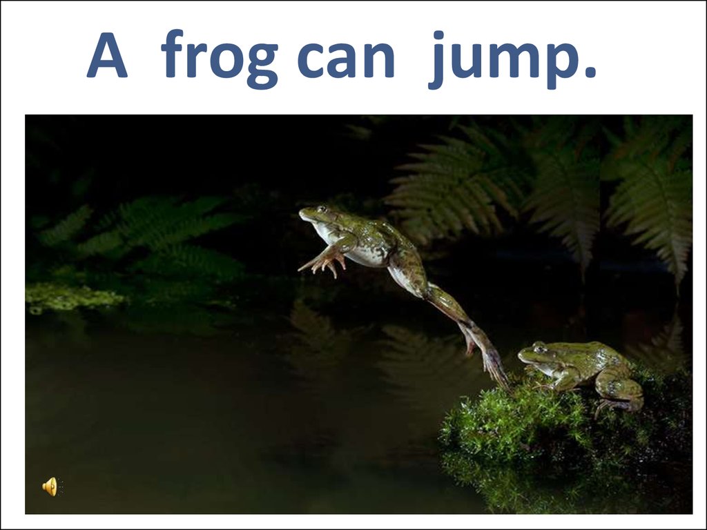 A frog can dance перевод. A Frog can Jump. Frogs can. Frog animal. Can Frog Jump вопроса.