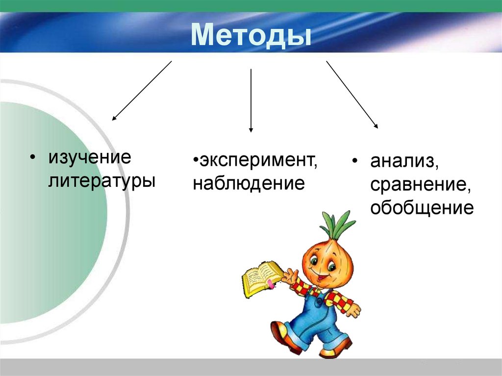 Садовнику надо посадить 16 луковиц и 11 луковиц лилий схема к задаче