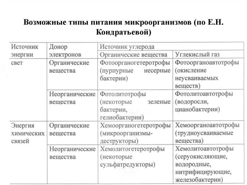 Виды питания бактерий