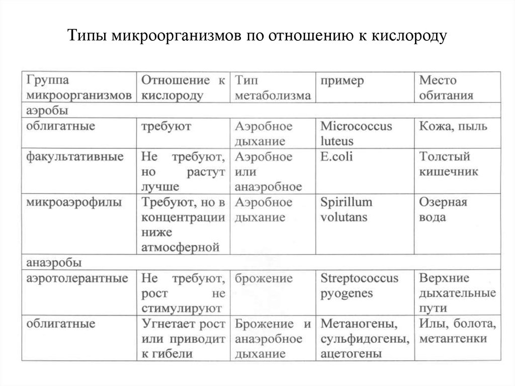 Отношение к кислороду. Отношение микроорганизмов к кислороду таблица. Классификация бактерий по отношению к кислороду. Группы микроорганизмов по типу дыхания. Классификация бактерий по отношению к кислороду воздуха.