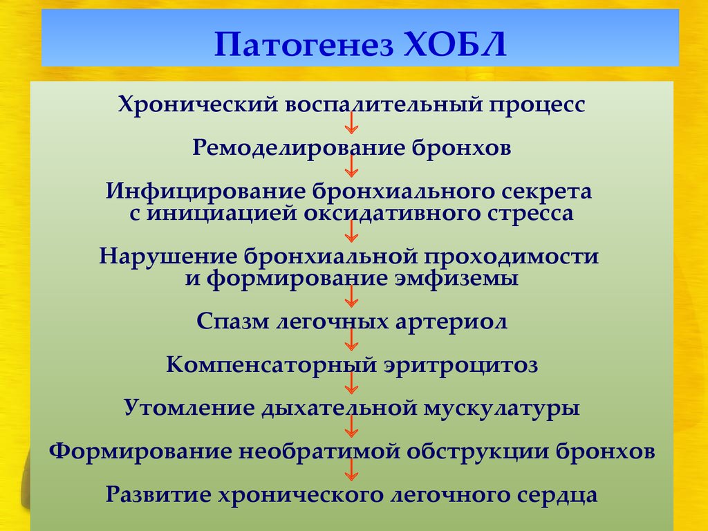 Патогенез кратко и понятно. Хроническая обструктивная болезнь лёгких патогенез. Хроническая обструктивная болезнь легких патогенез. Обструктивная болезнь легких патогенез. Хроническая обструктивная болезнь лёгких этиология.