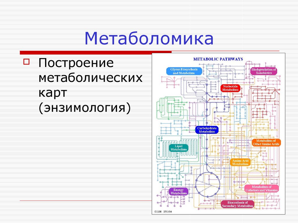 Карта метаболизма человека