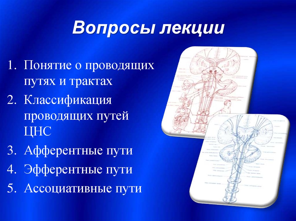 Проводящая термин. Классификация проводящих путей. Классификация проводящих путей ЦНС. Понятие о проводящих путях. Классификация проводящих путей в ЦНС. Эфферентные.