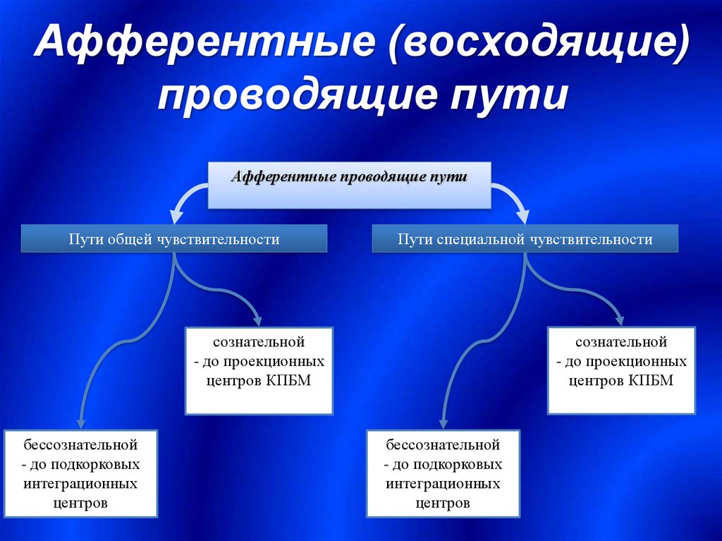 Россия на пути к информационному обществу презентация