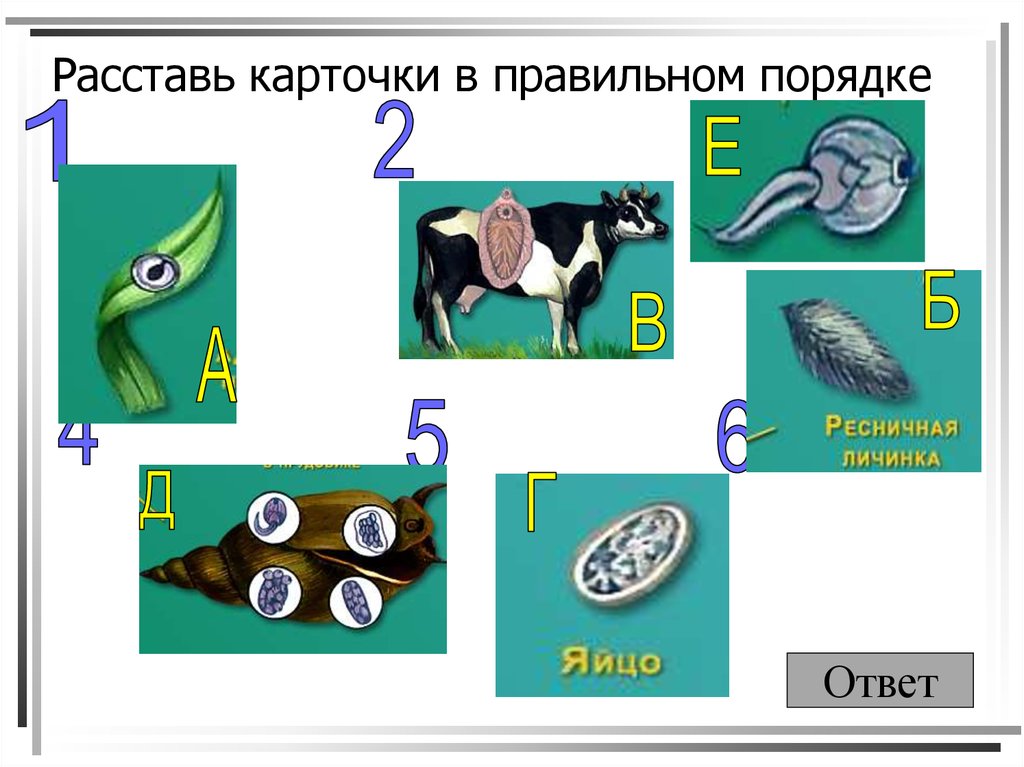 Расставь строчки в правильном порядке на конечном пункте все пакеты собираются в один файл