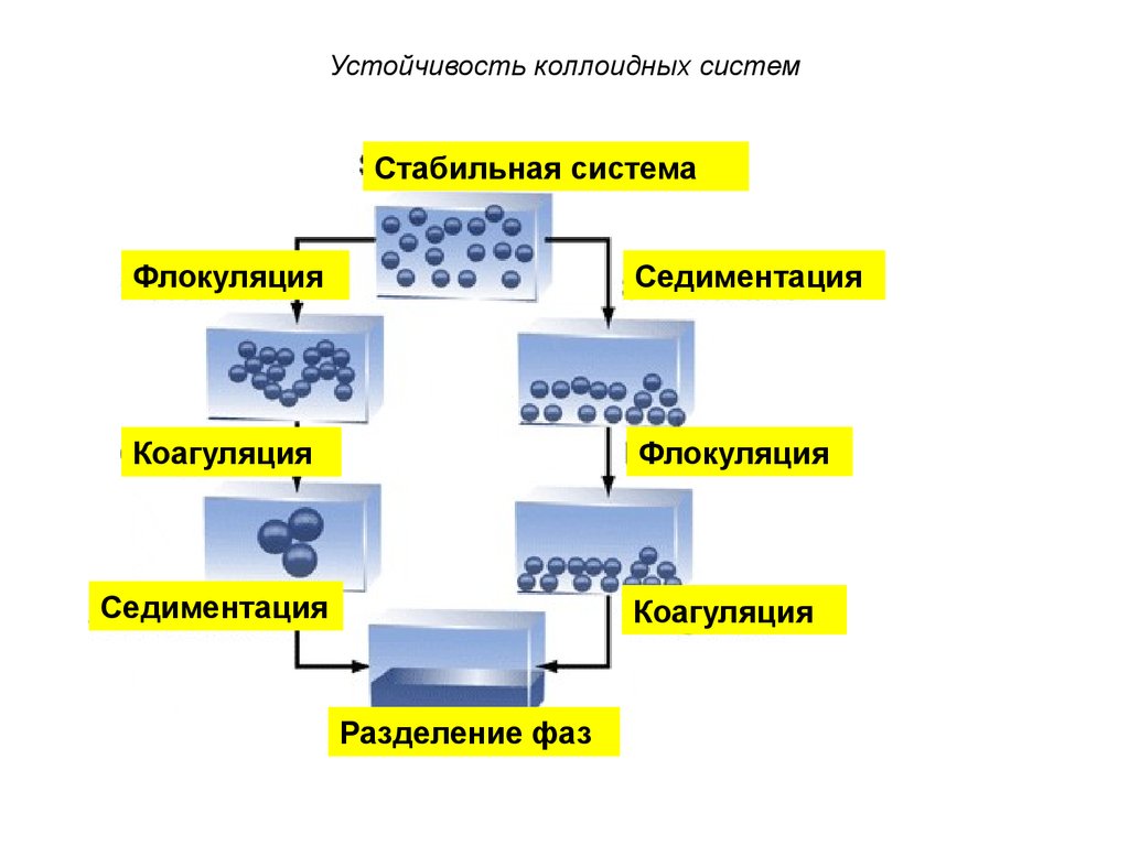 Стабильная система. Коагуляция (дисперсная система). Коагуляция коллоидных растворов. Кинетическая устойчивость коллоидных растворов. Седиментационная и агрегативная устойчивость коллоидных растворов.