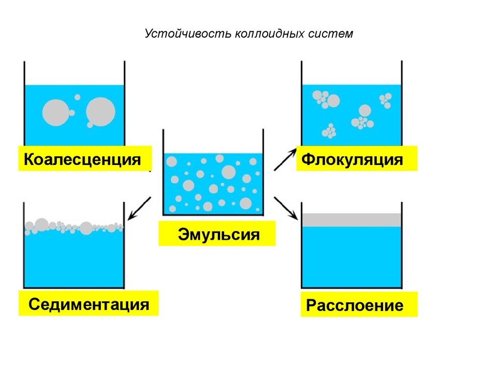 Седиментация суспензий. Коагуляция и флокуляция. Коагуляция седиментация пептизация. Коалесценция эмульсий. Седиментация в коллоидных системах.