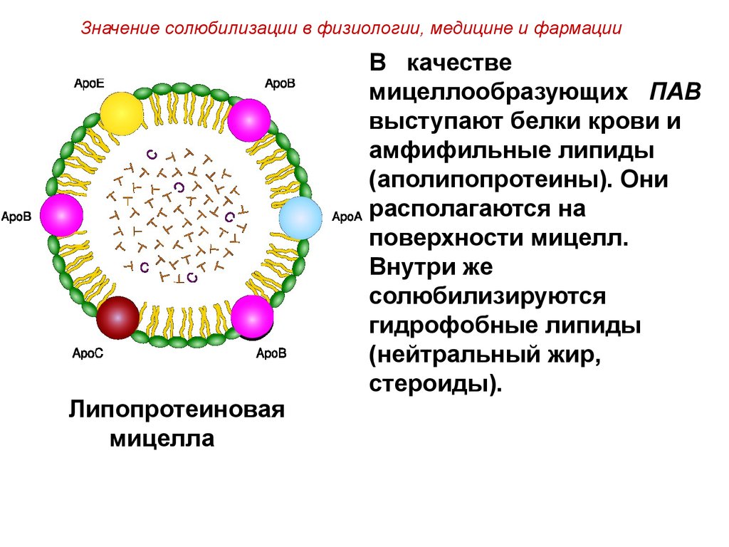 Мицеллы пав. Строение мицеллы пав солюбилизация. Структура мицеллы физиология. Строение мицелл коллоидных пав. Схема мицеллы пав.
