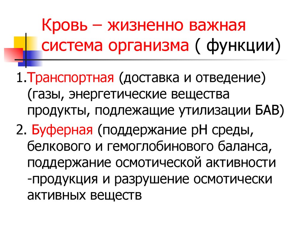 Жизненно важная система. Жизненно важные функции организма. Жизненные важные функции организма. Жизненно важные функции. Жизненно важные системы человека.