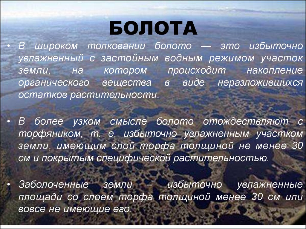 Болота география 6. Описание болота. Болота доклад. Характеристика болот. Болота презентация.