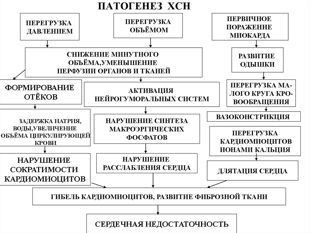 Сердечная недостаточность внутренние болезни презентация