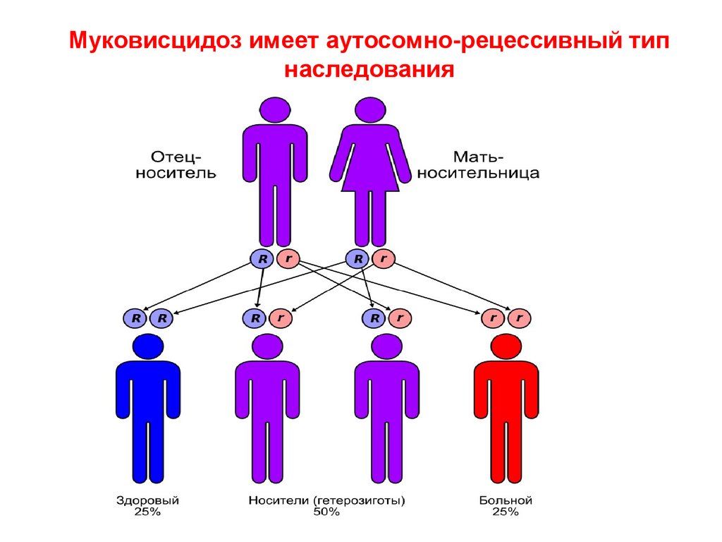 Рецессивный тип. Муковисцидоз Тип наследования. Муковисцидоз схема наследования. Аутосомно-рецессивный Тип наследования заболевания. Аутосомно-рецессивный Тип наследования схема.