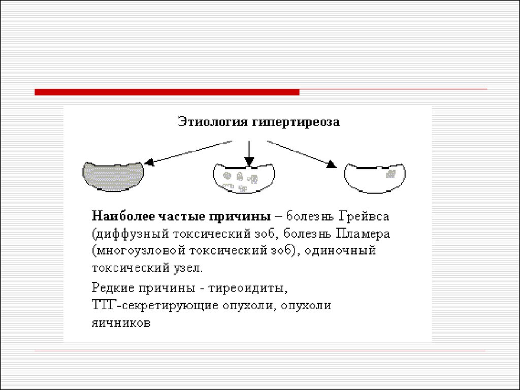 План сестринских вмешательств при гипотиреозе