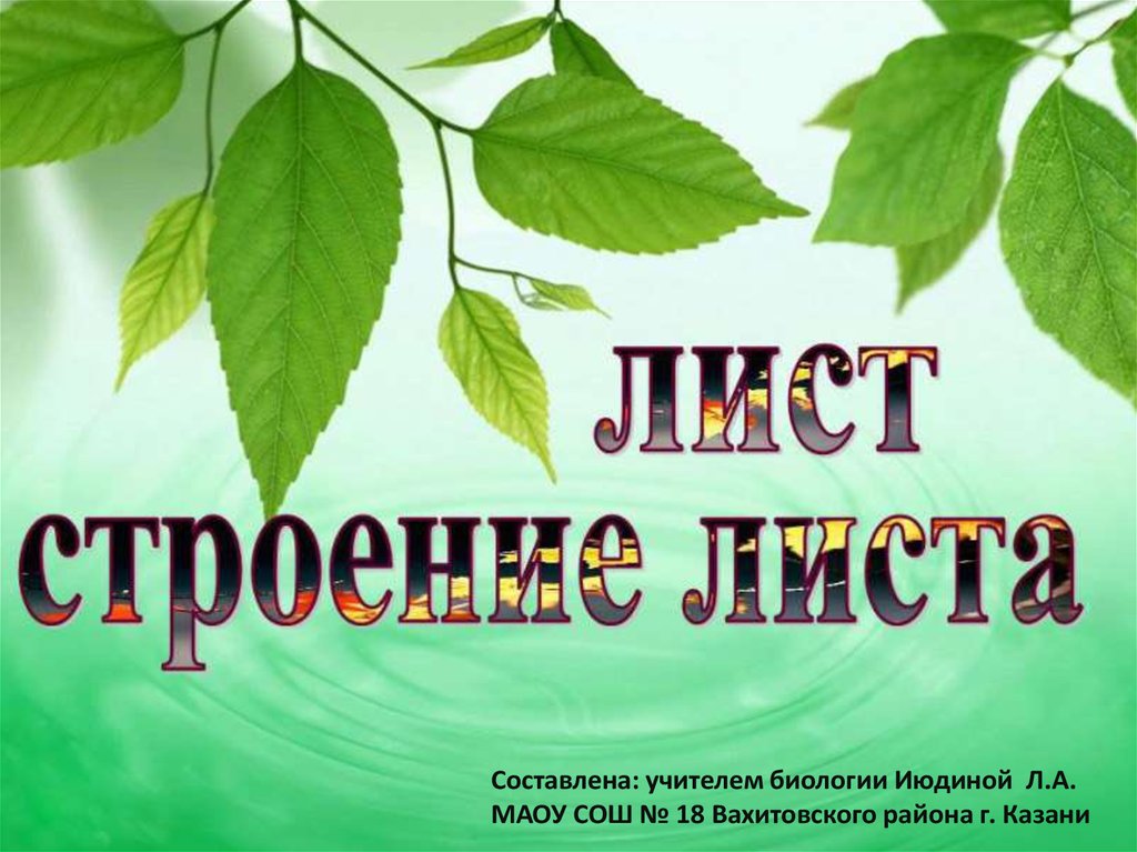 Презентация на тему лист. Лист для презентации. Что такое лист в биологии слайды. Презентация по листу. Листья по биологии в виде доклада.