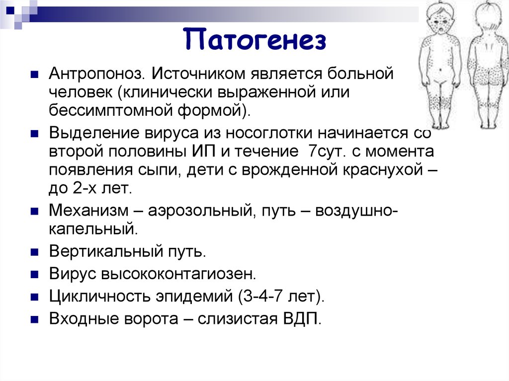 Вирус краснухи норма. Вирус краснухи патогенез. Патогенез краснухи у детей. Краснуха устойчивость во внешней среде.