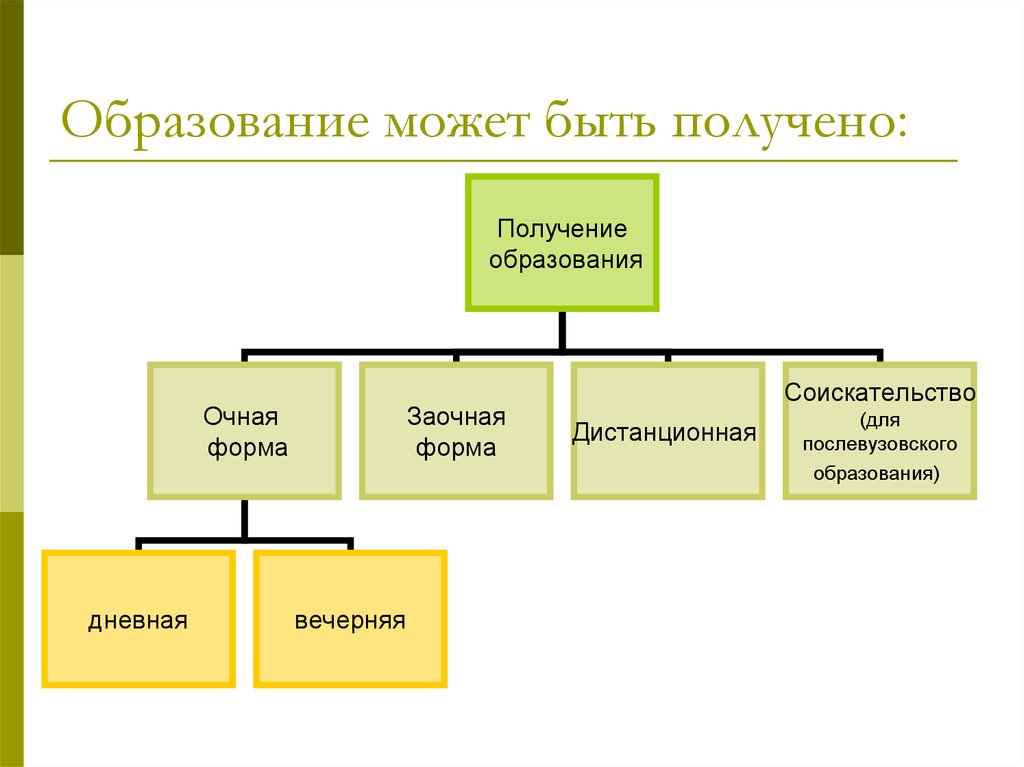 Какие есть высшие образования. Образование может быть. Образование может быть получено. Какие образования могут быть. Какое образование можно получить.