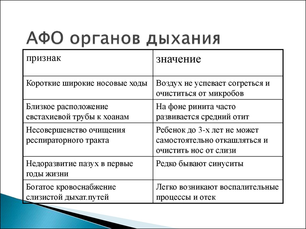 Особенности органов дыхания