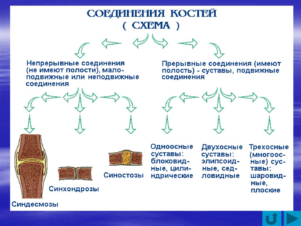 Виды соединений схема