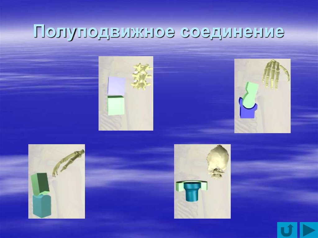 Полуподвижное соединение