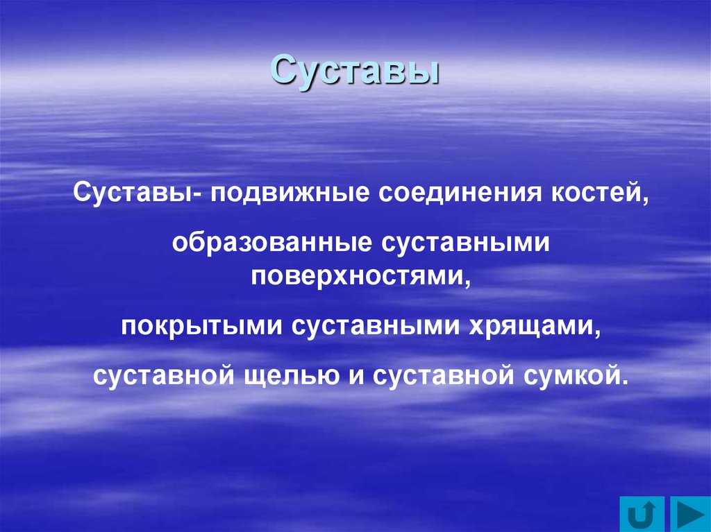 Суставы