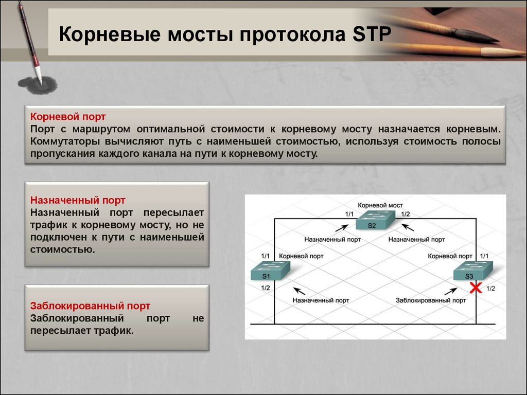 Протокол корнева