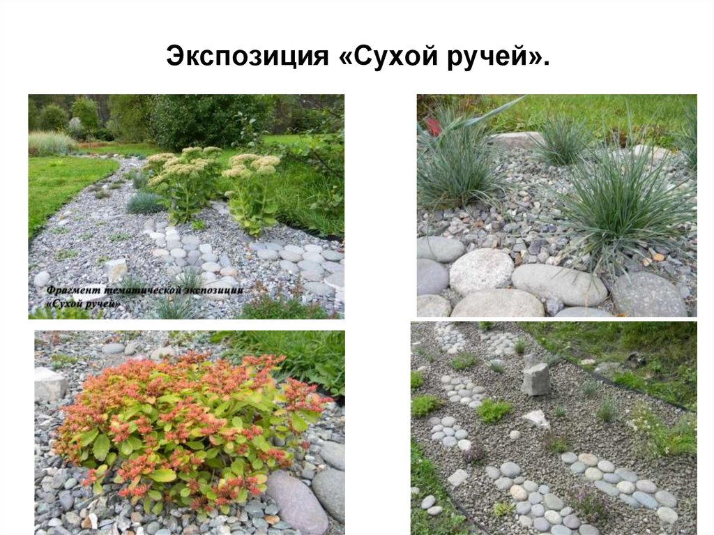 Экспозиция «Сухой ручей».