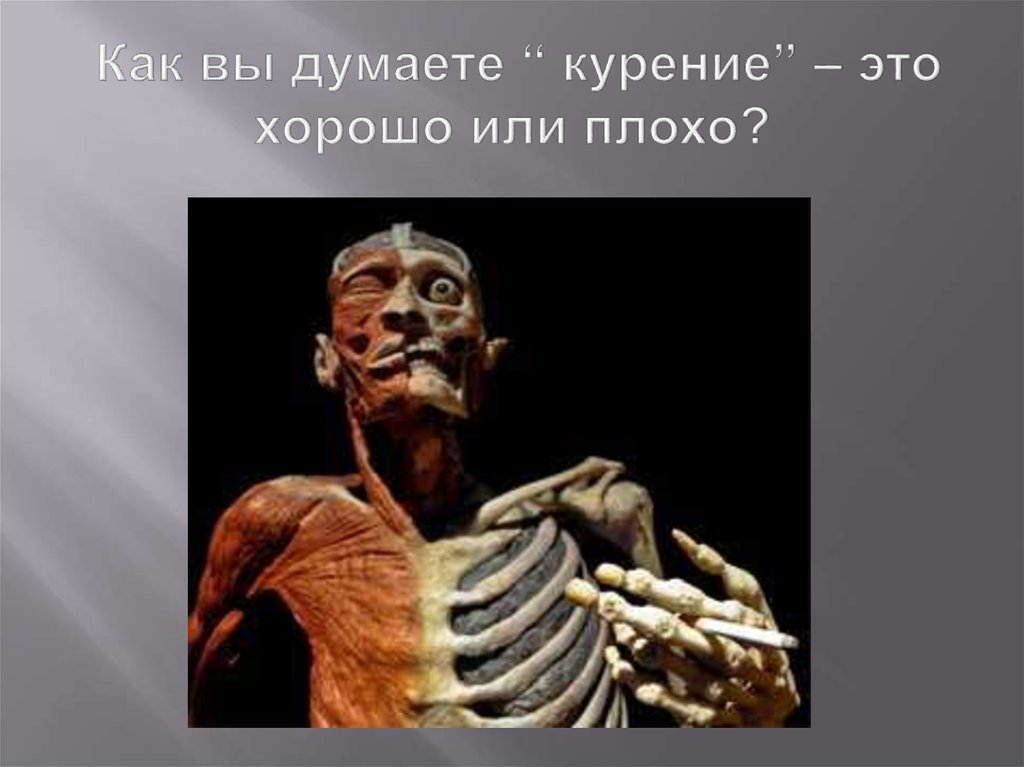  Как вы думаете “ курение” – это хорошо или плохо?