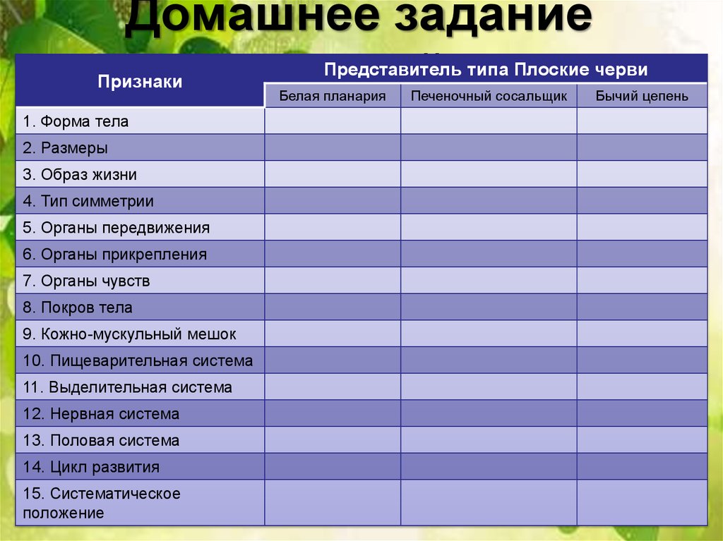 План ответа общая характеристика червей