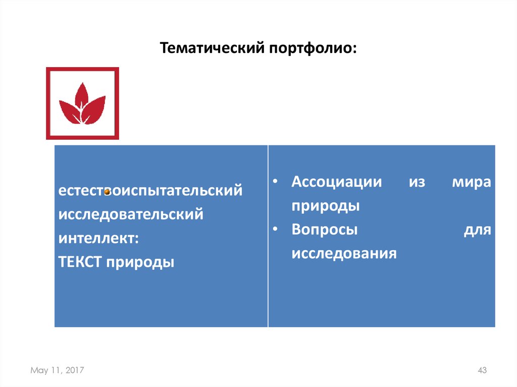 Тематический портфолио: