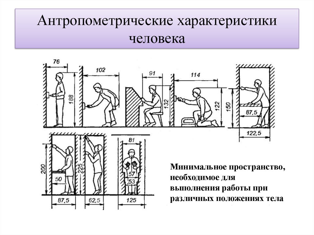 Минимальное пространство. Антропометрия параметры человека. Статические антропометрические характеристики это. Антропометрические характеристики тела человека. Антропометрические характеристики человека БЖД.