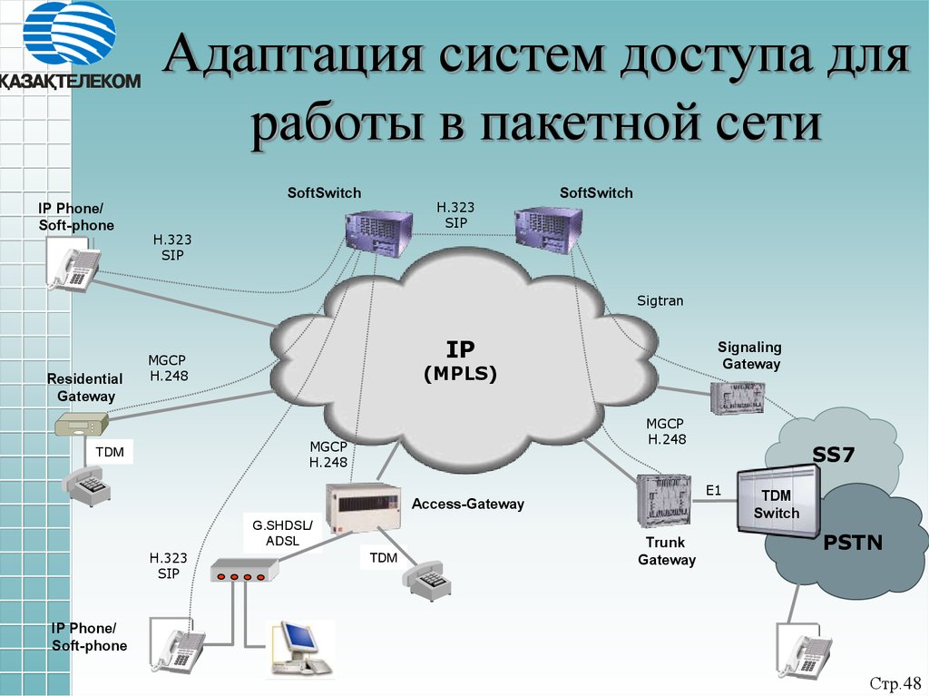 Адаптация систем доступа для работы в пакетной сети