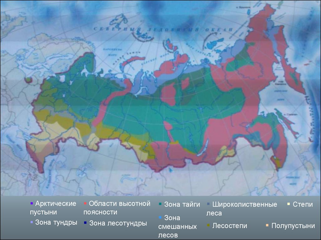 Тундра лесотундра тайга карта. Высотная поясность арктической пустыни. Природные зоны России области ВЫСОТНОЙ поясности. Зоны ВЫСОТНОЙ поясности в России на карте. Области ВЫСОТНОЙ поясности на карте России.