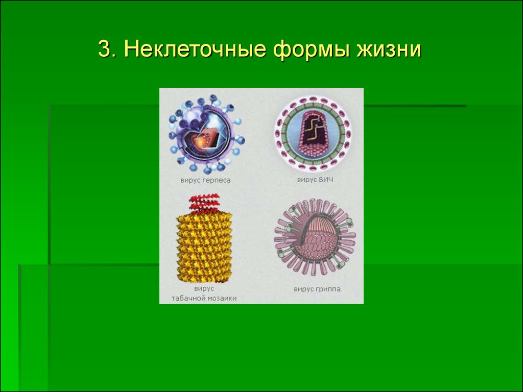 Неклеточное строение вирусов. Неклеточные формы жизни. Вирусы неклеточные формы. Вирусы неклеточные формы жизни. Вирус герпеса неклеточная форма.
